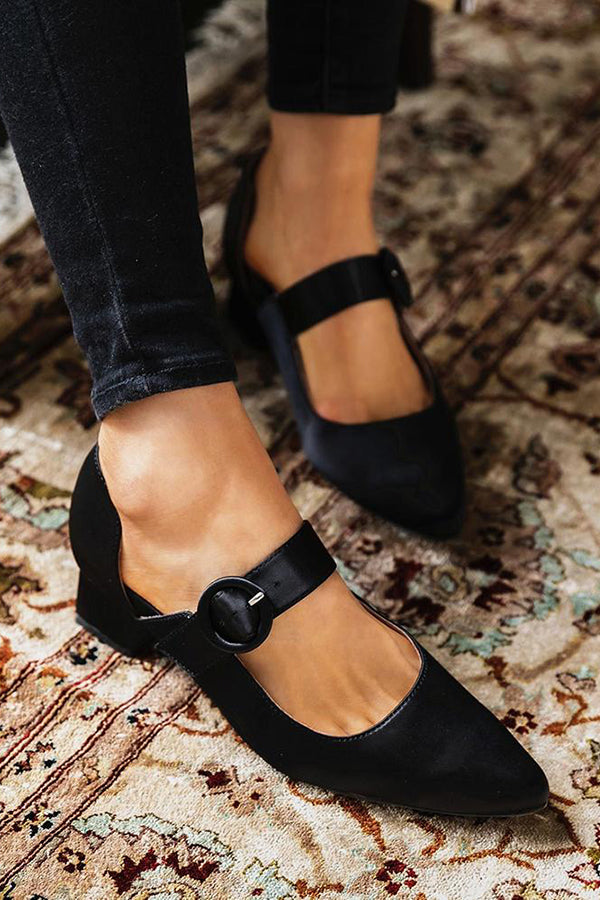 Pointed Toe Buckled Chunky Heels
